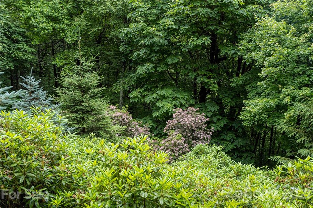 1334 Big Ridge Road Burnsville, NC 28714 - Photo 39 of 39 Gallery Image 39