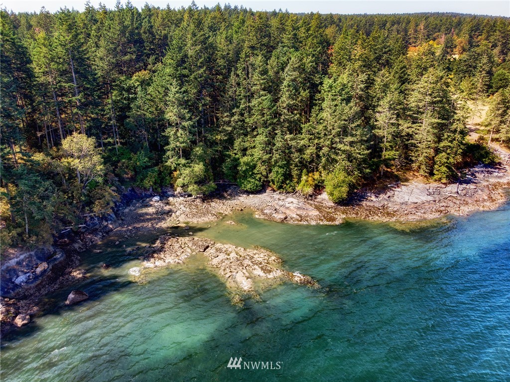 0 Simcox Road Lopez Island, WA 98261 - Photo 3 of 10