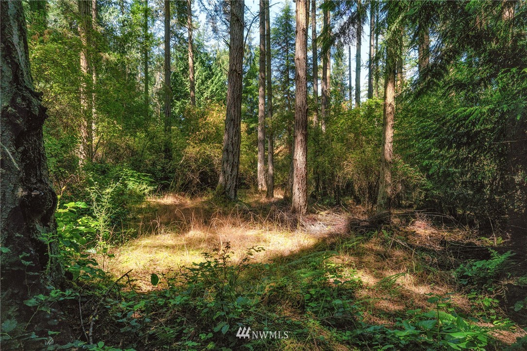 0 Simcox Road Lopez Island, WA 98261 - Photo 5 of 10