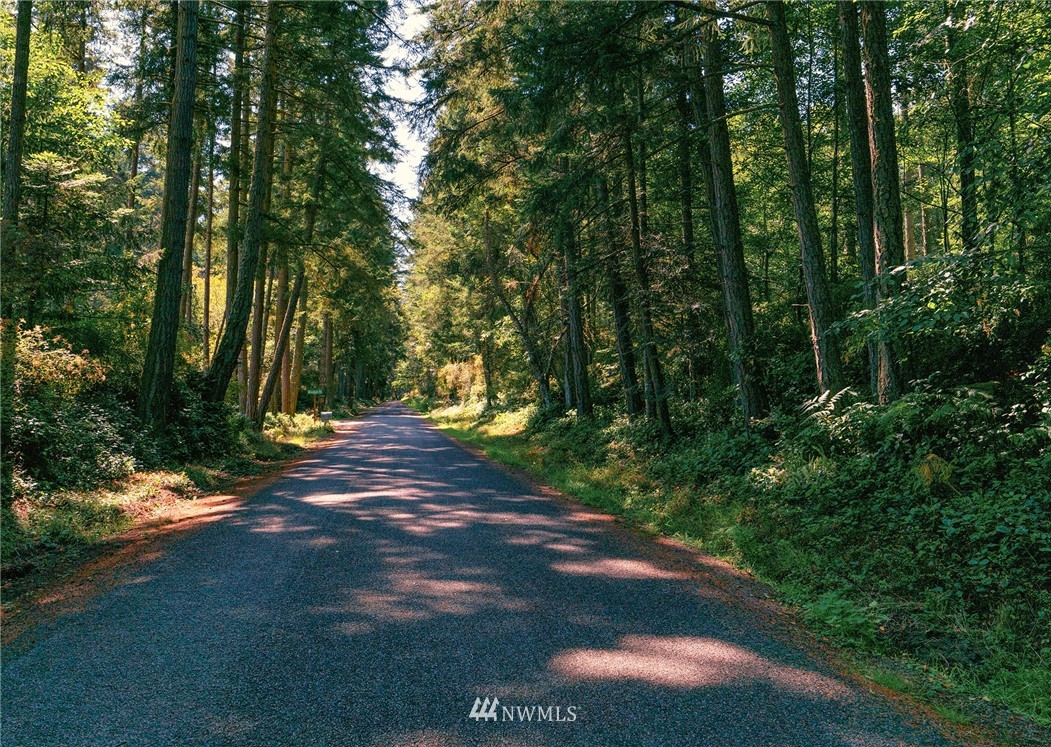 0 Simcox Road Lopez Island, WA 98261 - Photo 8 of 10