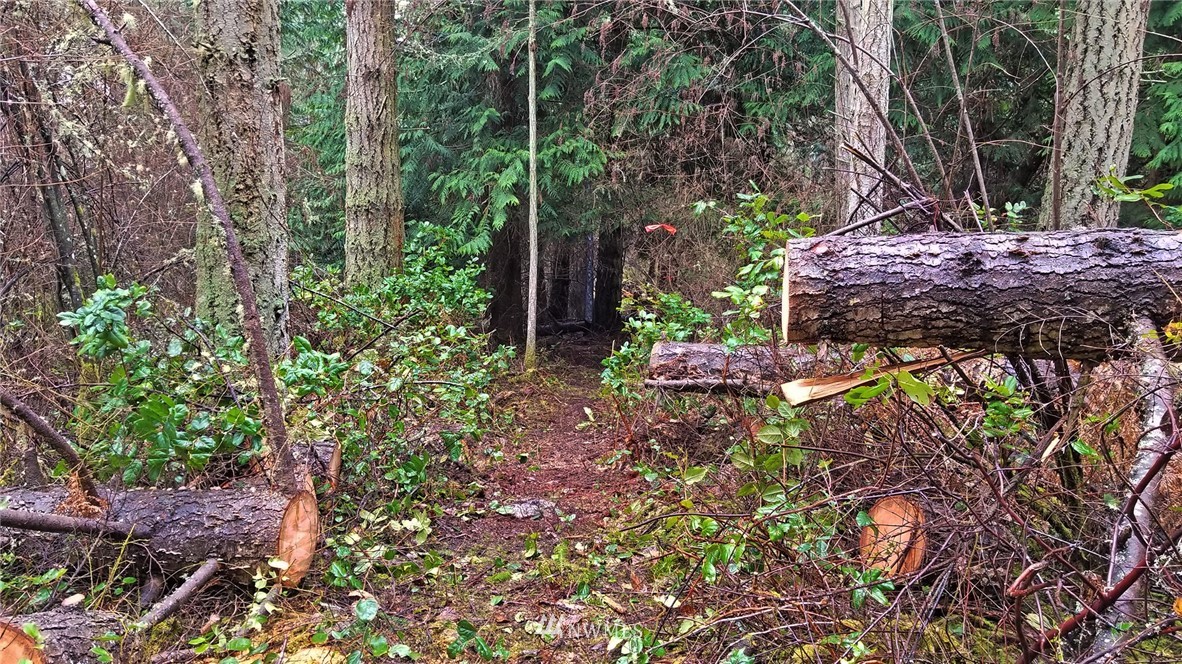 0 Simcox Road Lopez Island, WA 98261 - Photo 9 of 10