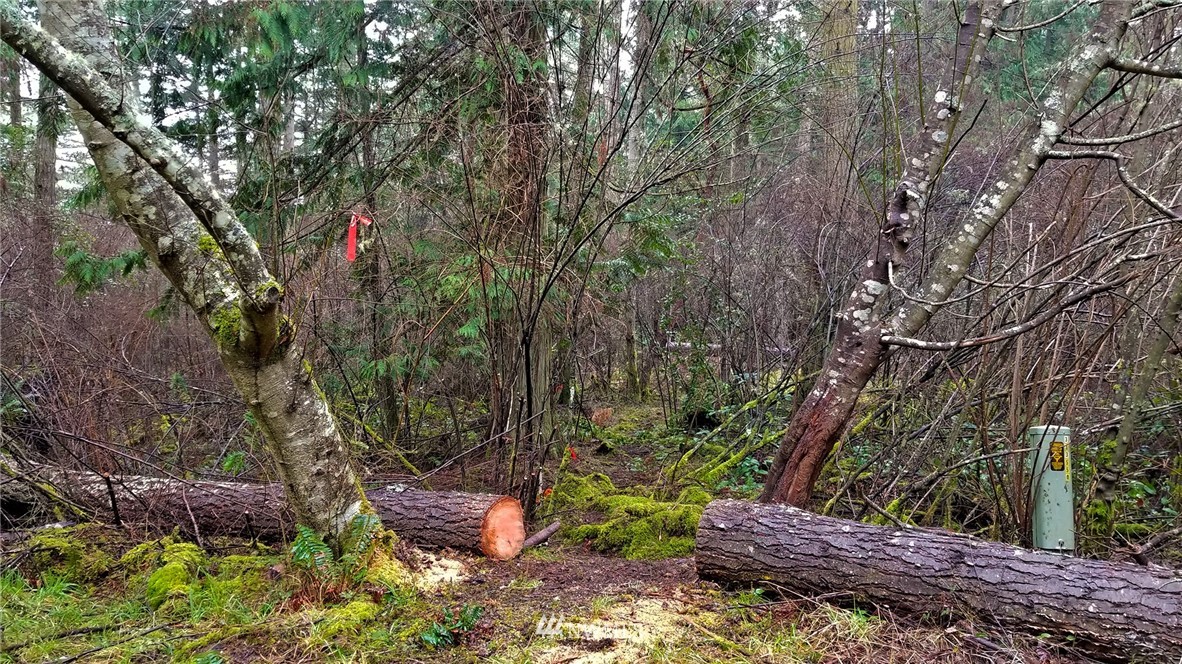 0 Simcox Road Lopez Island, WA 98261 - Photo 10 of 10