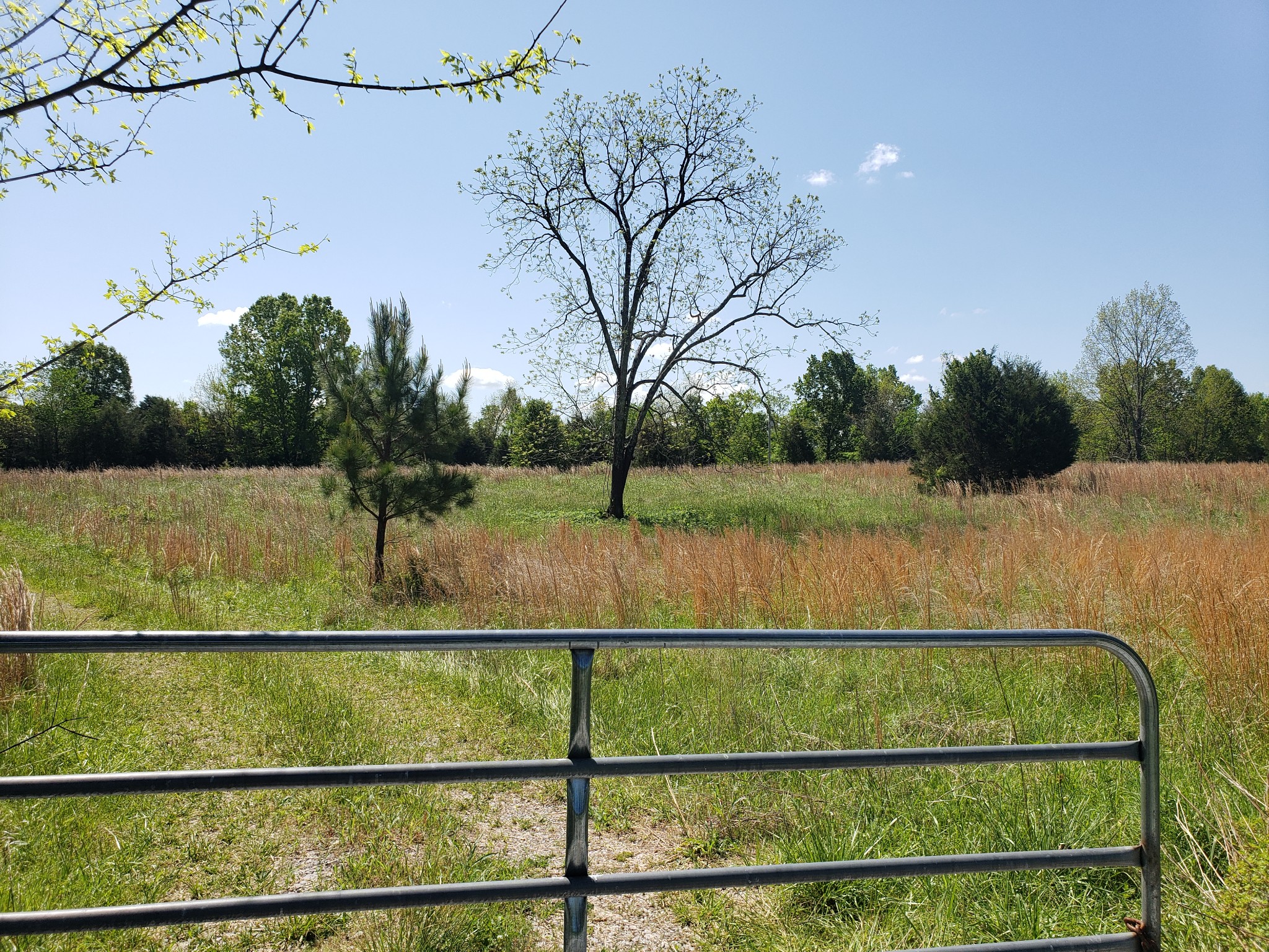 0 Snell Road Lewisburg, TN 37091 - Photo 1 of 15 Gallery Image 1