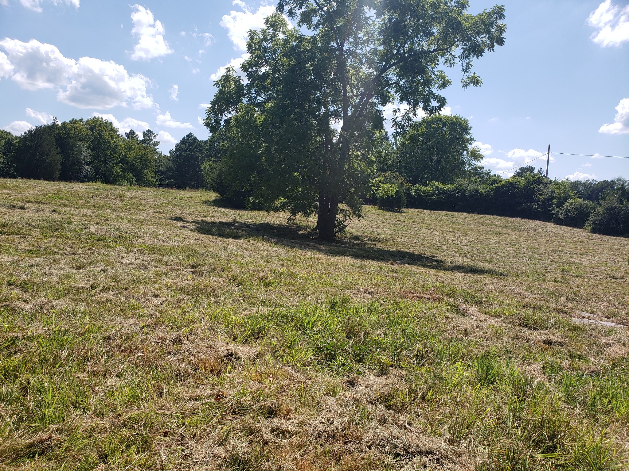 0 Snell Road Lewisburg, TN 37091 - Photo 14 of 15 Gallery Image 14