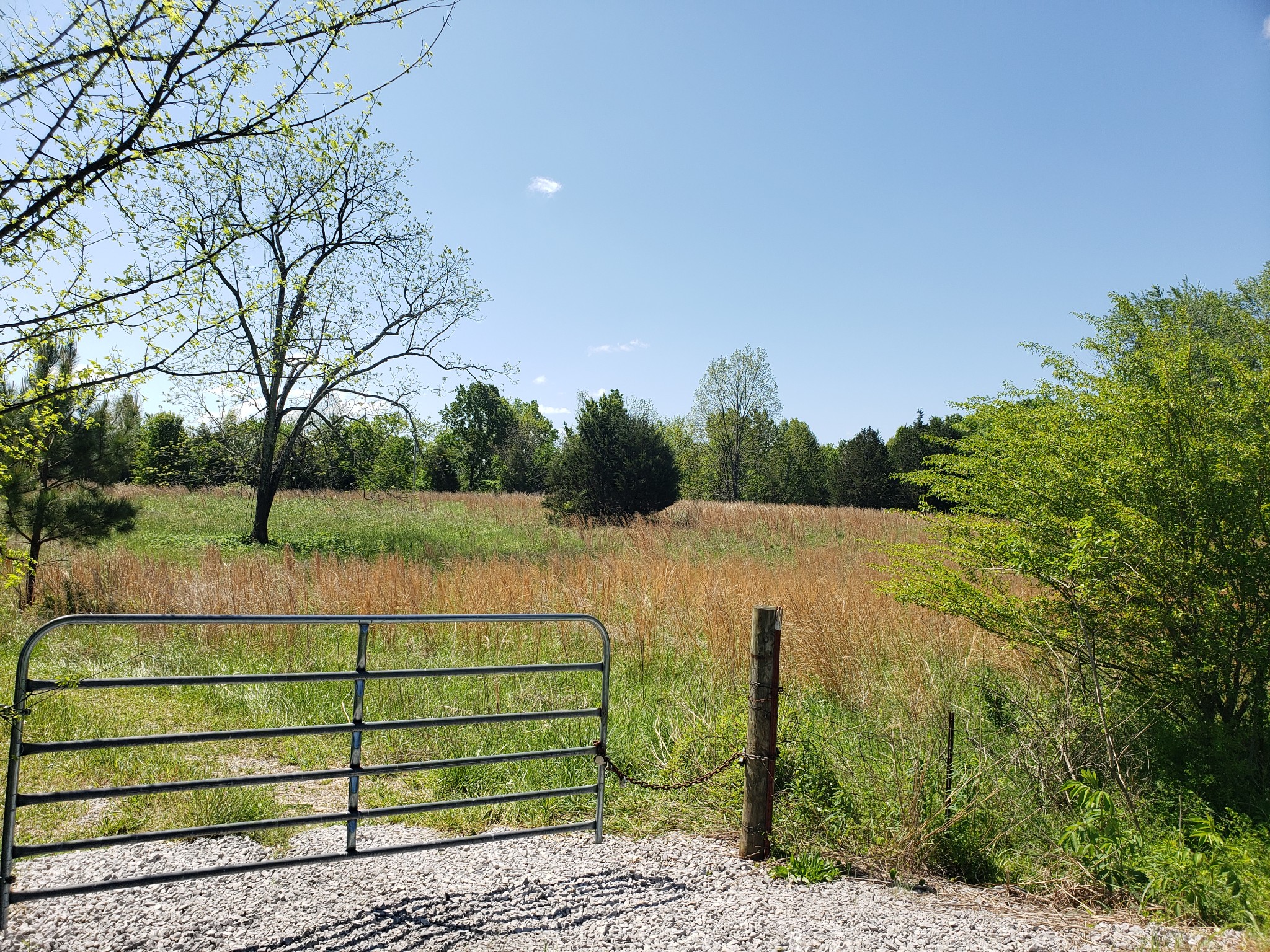 0 Snell Road Lewisburg, TN 37091 - Photo 3 of 15 Gallery Image 3