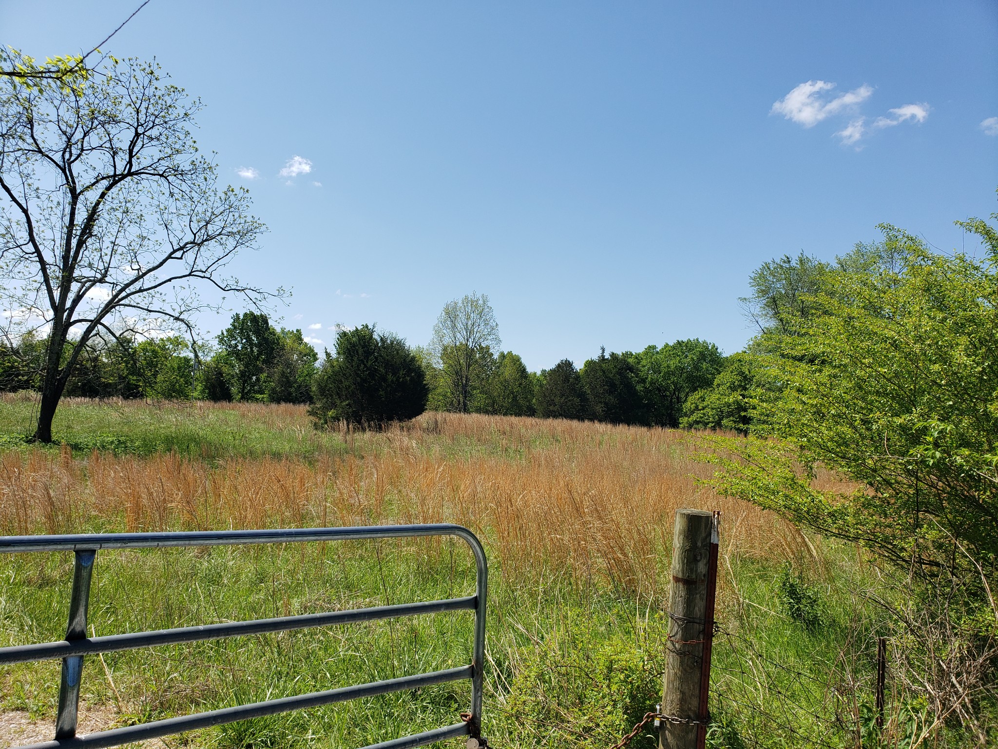 0 Snell Road Lewisburg, TN 37091 - Photo 4 of 15 Gallery Image 4
