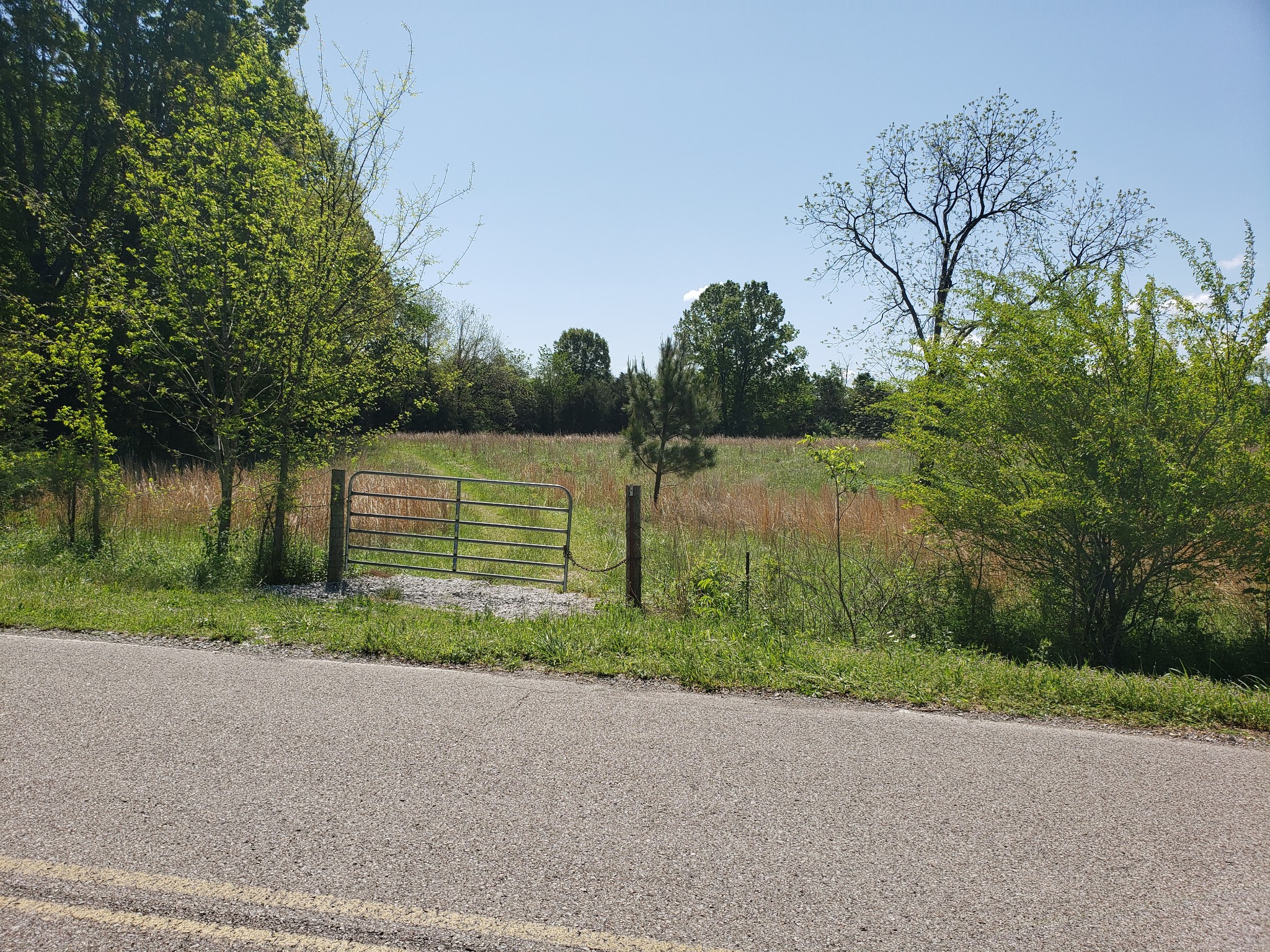 0 Snell Road Lewisburg, TN 37091 - Photo 5 of 15 Gallery Image 5