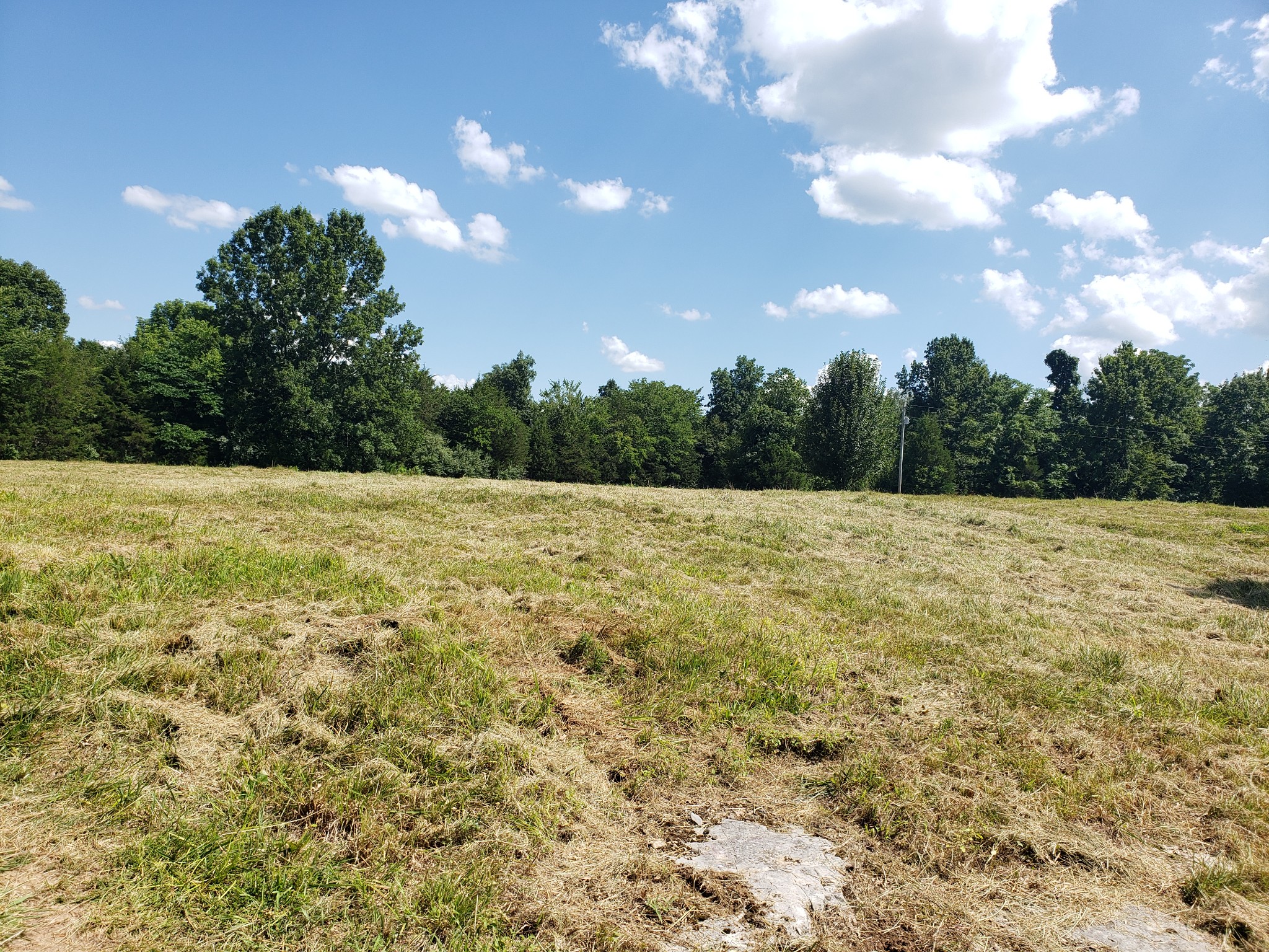 0 Snell Road Lewisburg, TN 37091 - Photo 9 of 15 Gallery Image 9