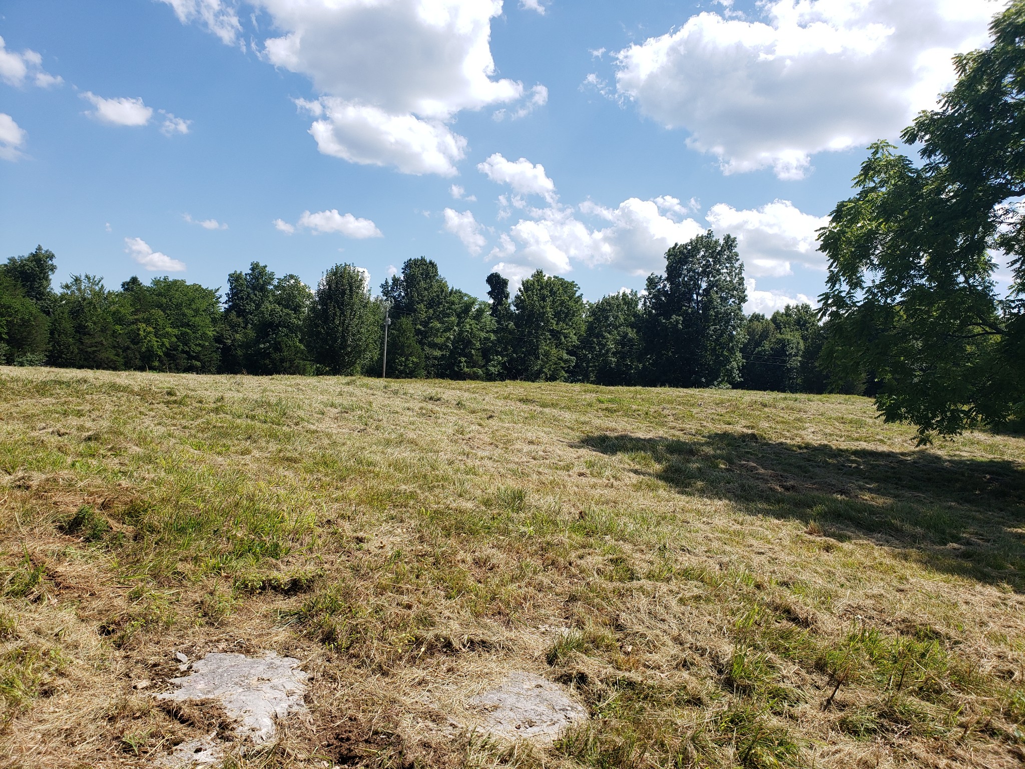 0 Snell Road Lewisburg, TN 37091 - Photo 10 of 15 Gallery Image 10