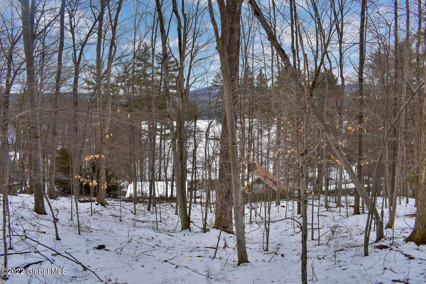 0 Gibbons Road Brant Lake, NY 12815 - Photo 12 of 16 bd16