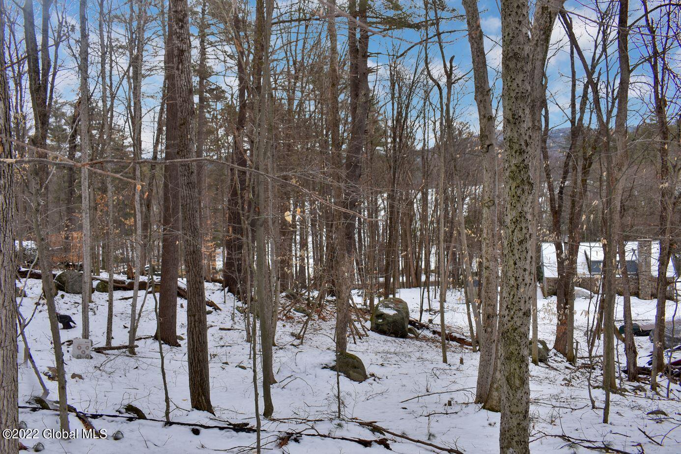 0 Gibbons Road Brant Lake, NY 12815 - Photo 13 of 16 bd15