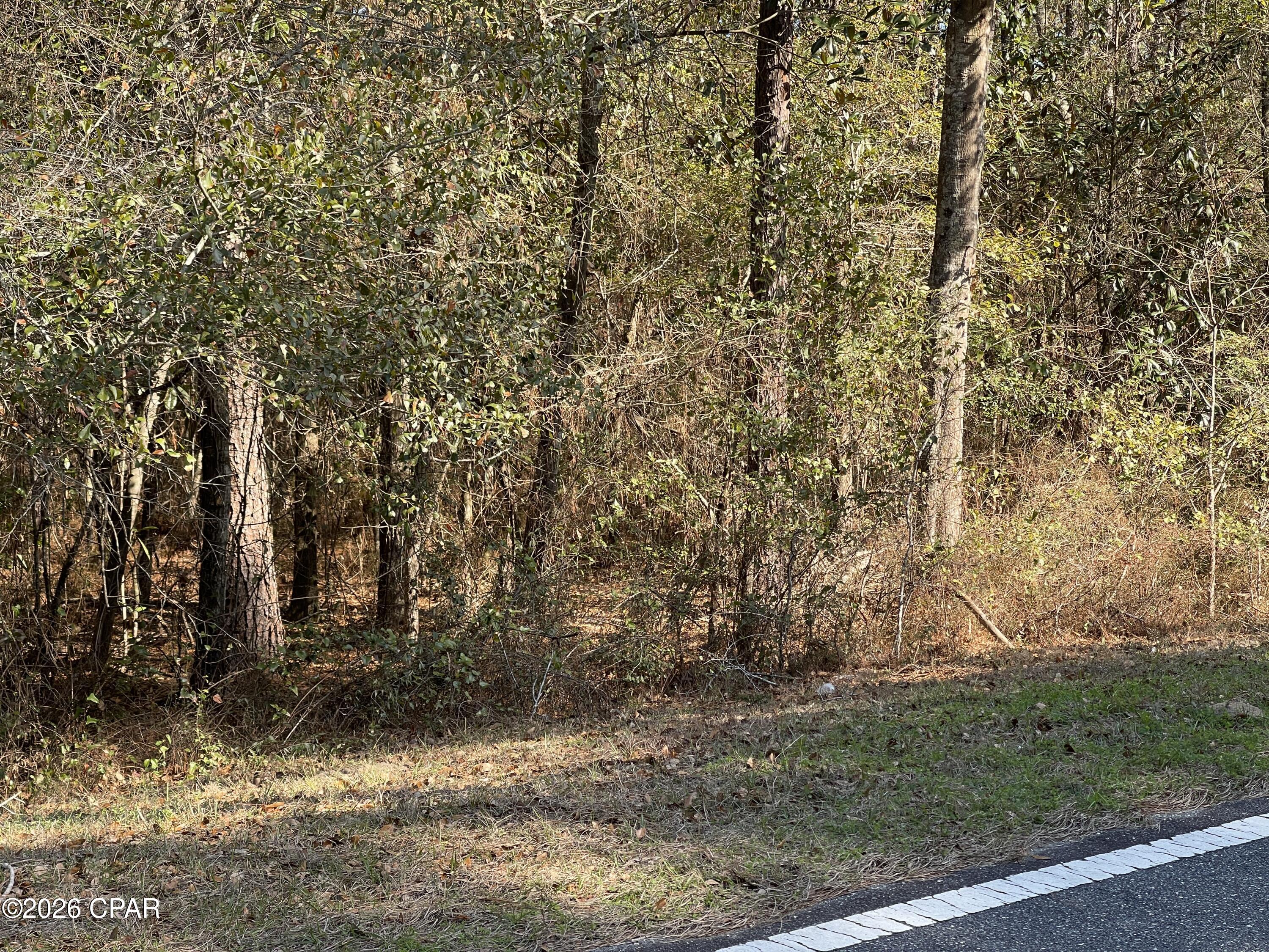0 Jacob Main Street Cottondale, FL 32431 - Photo 2 of 6