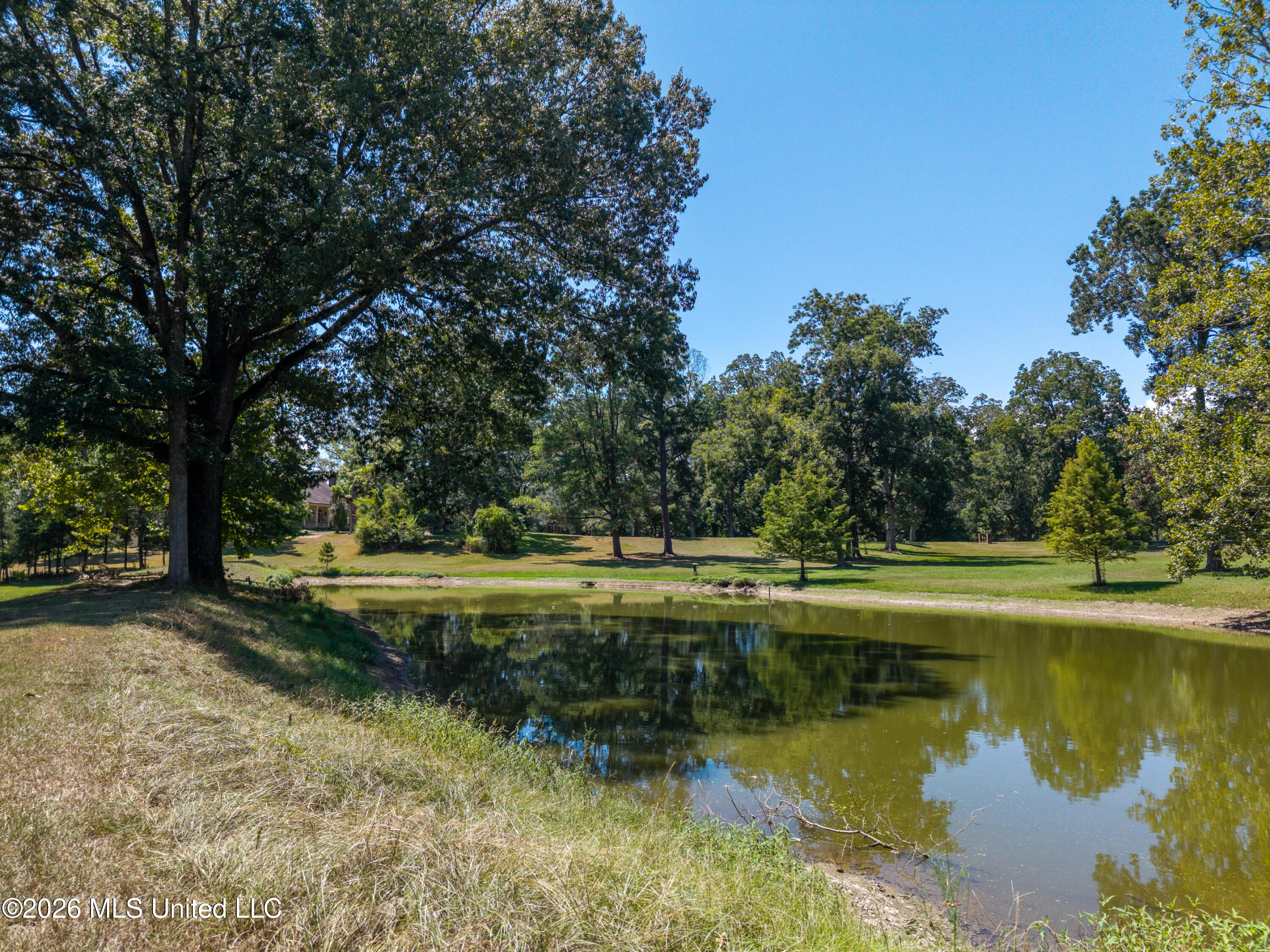 8 Freedom Road Natchez, MS 39120 - Photo 19 of 22 8FreedomRd_HiRes-27 pond