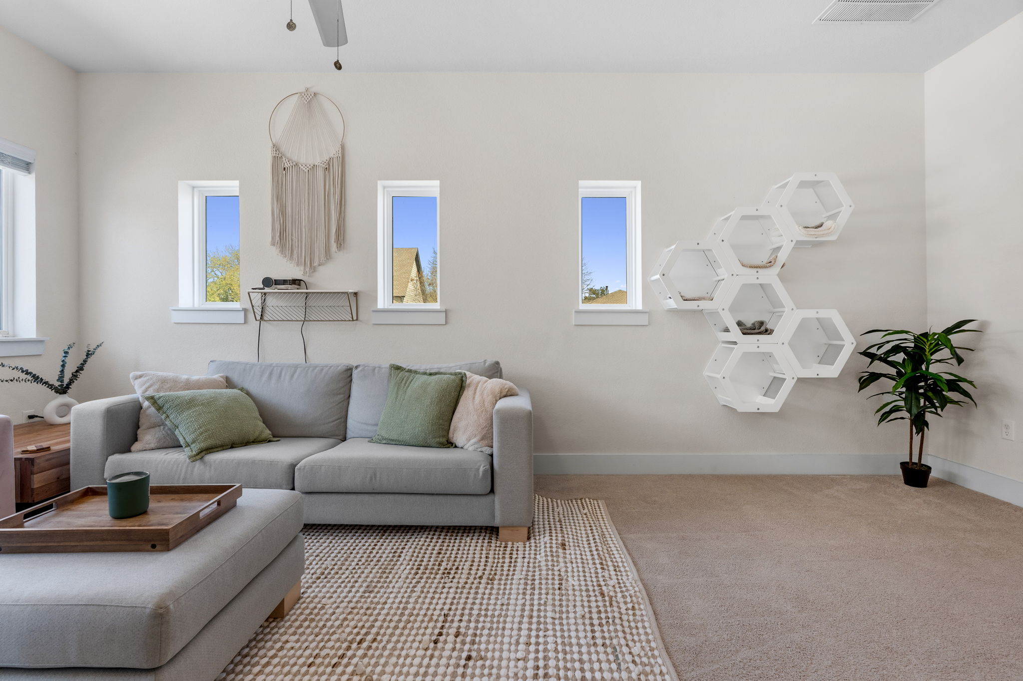 7205 Albert Road Austin, TX 78745 - Photo 27 of 37 a living room with furniture and a potted plant