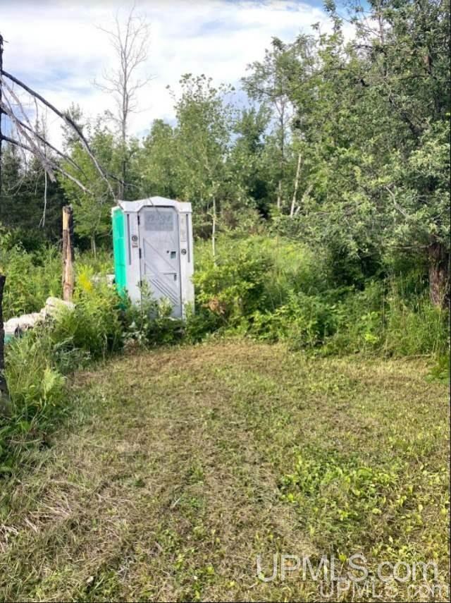 Tbd Off Tichelaar Road Foster City, MI 49834 - Photo 10 of 19