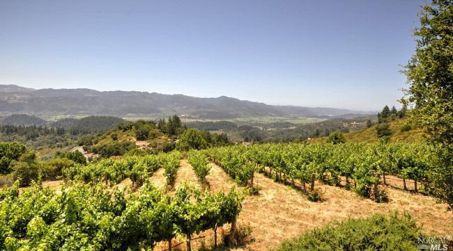1300 Staple Ridge Road Angwin, CA 94508 - Photo 1 of 1 Spectacular valley views