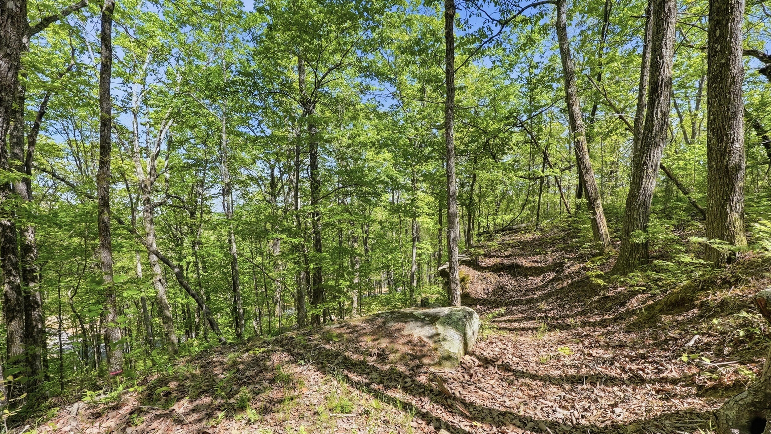 0 Worley Road, Unit LOT 43 Soddy-Daisy, TN 37379 - Photo 6 of 31 11024 Worley Rd-5