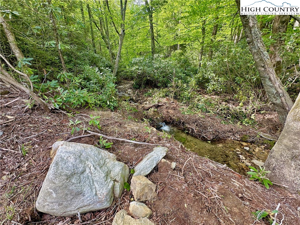 1291 George Hayes Road Boone, NC 28607 - Photo 36 of 48 Gallery Image 36