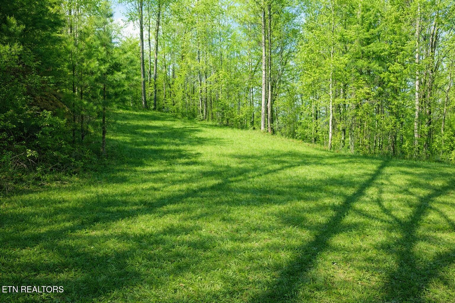 Lot 41 Black Maple Way Del Rio, TN 37727 - Photo 4 of 23 House Site Mtns behind trees