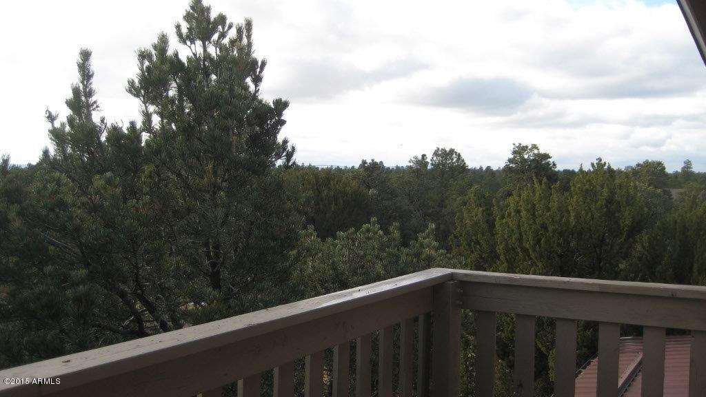 2264 Sunrise Road Overgaard, AZ 85933 - Photo 25 of 37 IMG_1796