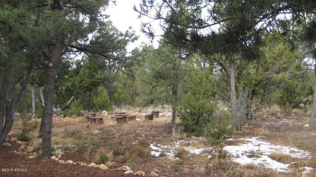 2264 Sunrise Road Overgaard, AZ 85933 - Photo 32 of 37 IMG_1806
