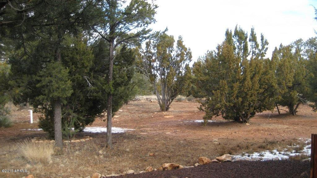 2264 Sunrise Road Overgaard, AZ 85933 - Photo 33 of 37 IMG_1807