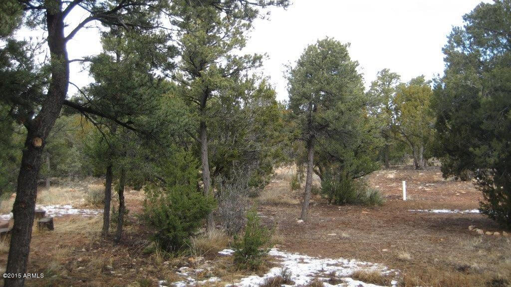 2264 Sunrise Road Overgaard, AZ 85933 - Photo 34 of 37 IMG_1808