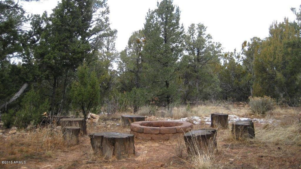 2264 Sunrise Road Overgaard, AZ 85933 - Photo 35 of 37 IMG_1811