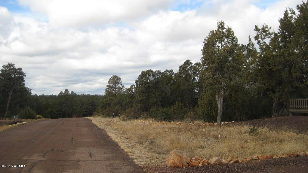 2264 Sunrise Road Overgaard, AZ 85933 - Photo 36 of 37 IMG_1812