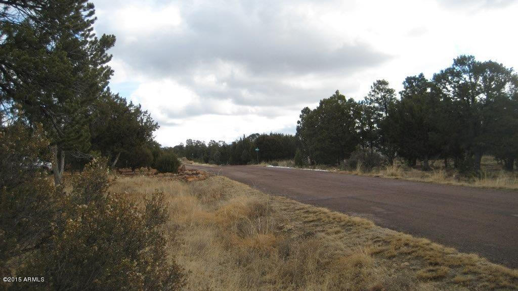 2264 Sunrise Road Overgaard, AZ 85933 - Photo 37 of 37 IMG_1814