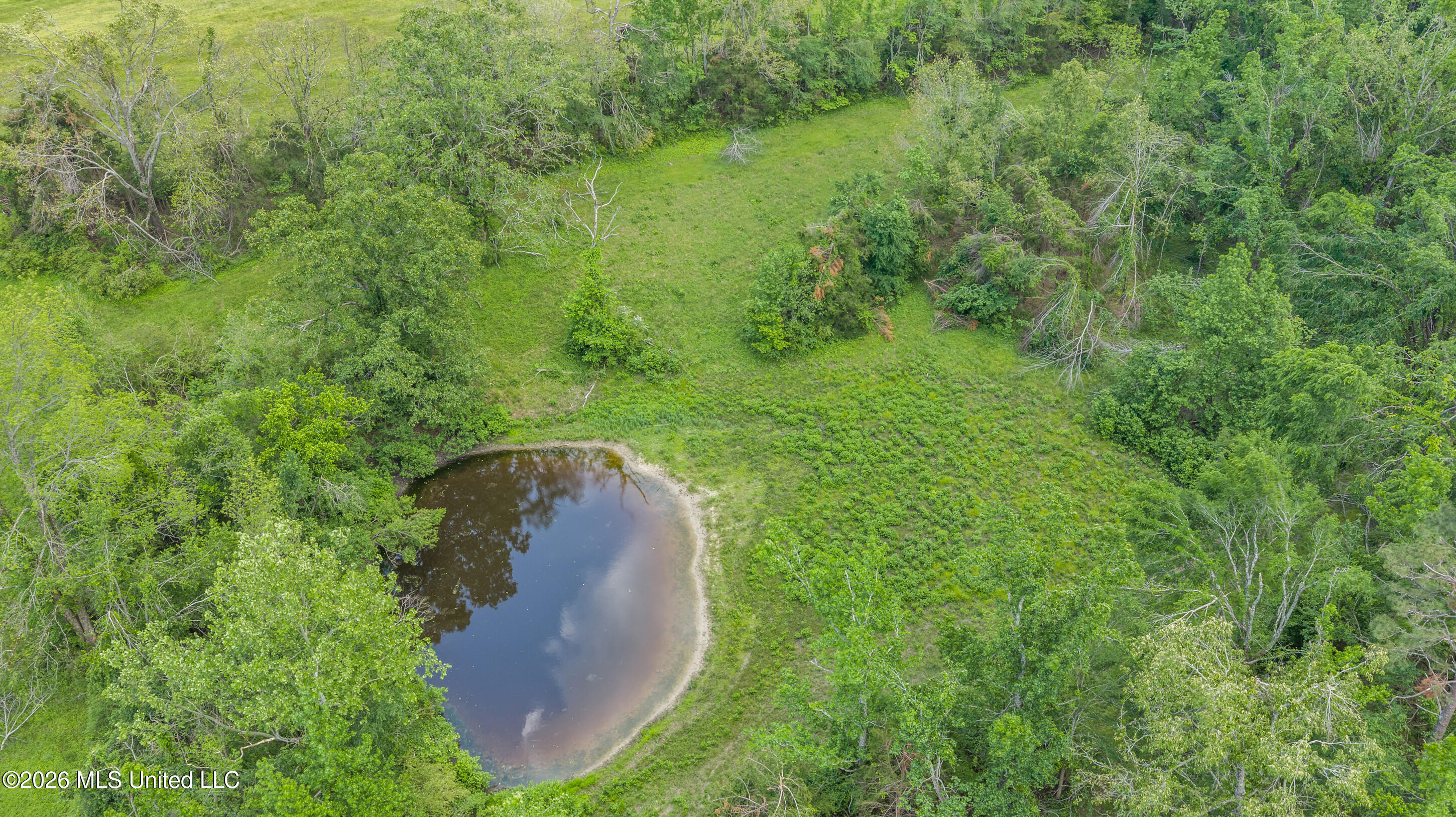 222 County Road Oxford, MS 38655 - Photo 6 of 30 dji_20260427144841_0033_d_print