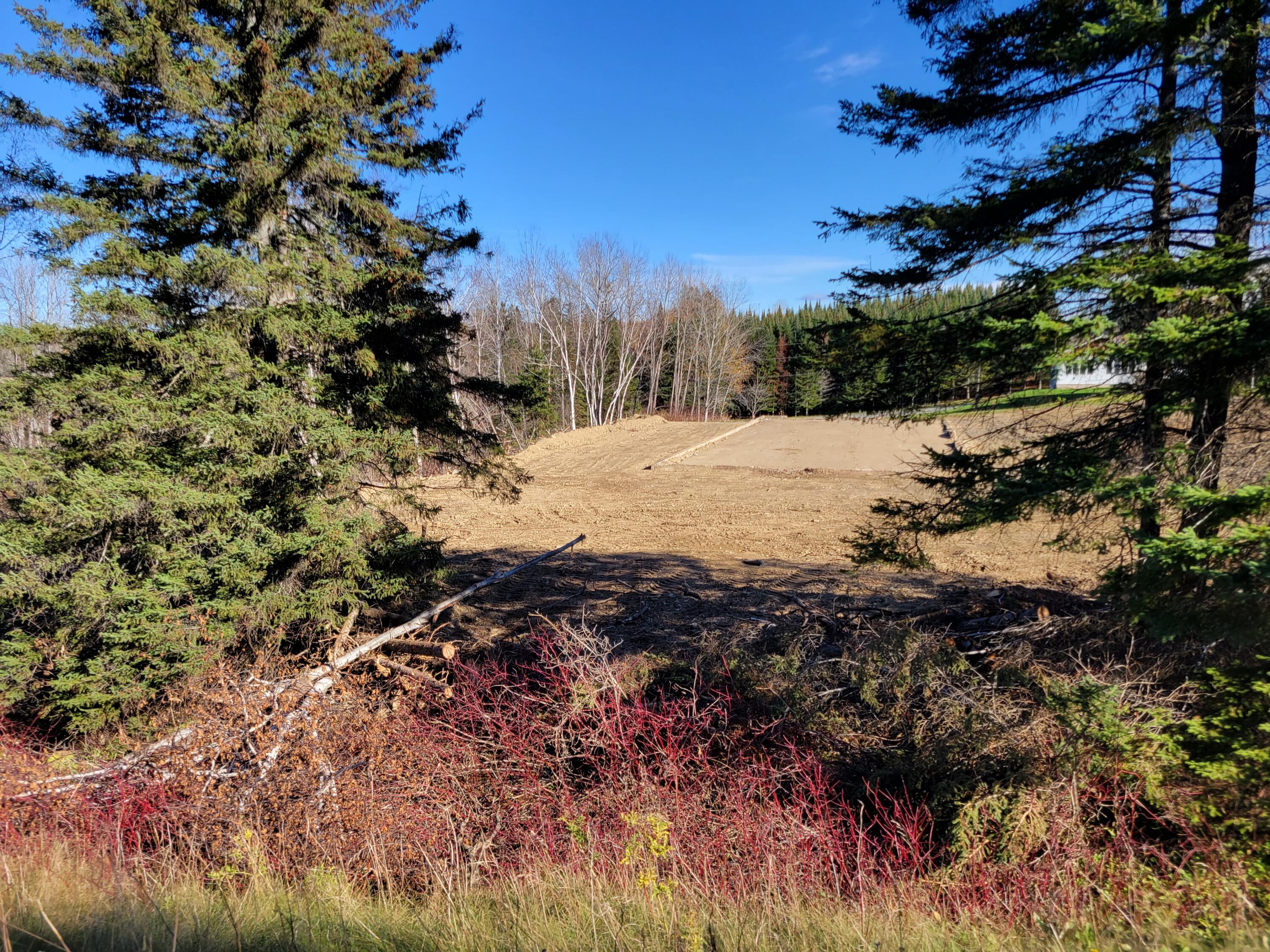 Map21-lot4 Martin Road Fort Fairfield, ME 04742 - Photo 3 of 11 11