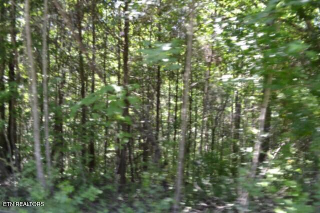 2390 Pea Ridge Fire Tower Road Celina, TN 38551 - Photo 18 of 58 DSC_0091