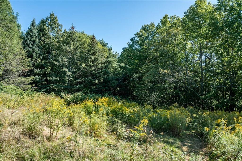 16 Mosher Road Gorham, ME 04038 - Photo 19 of 19 Photo