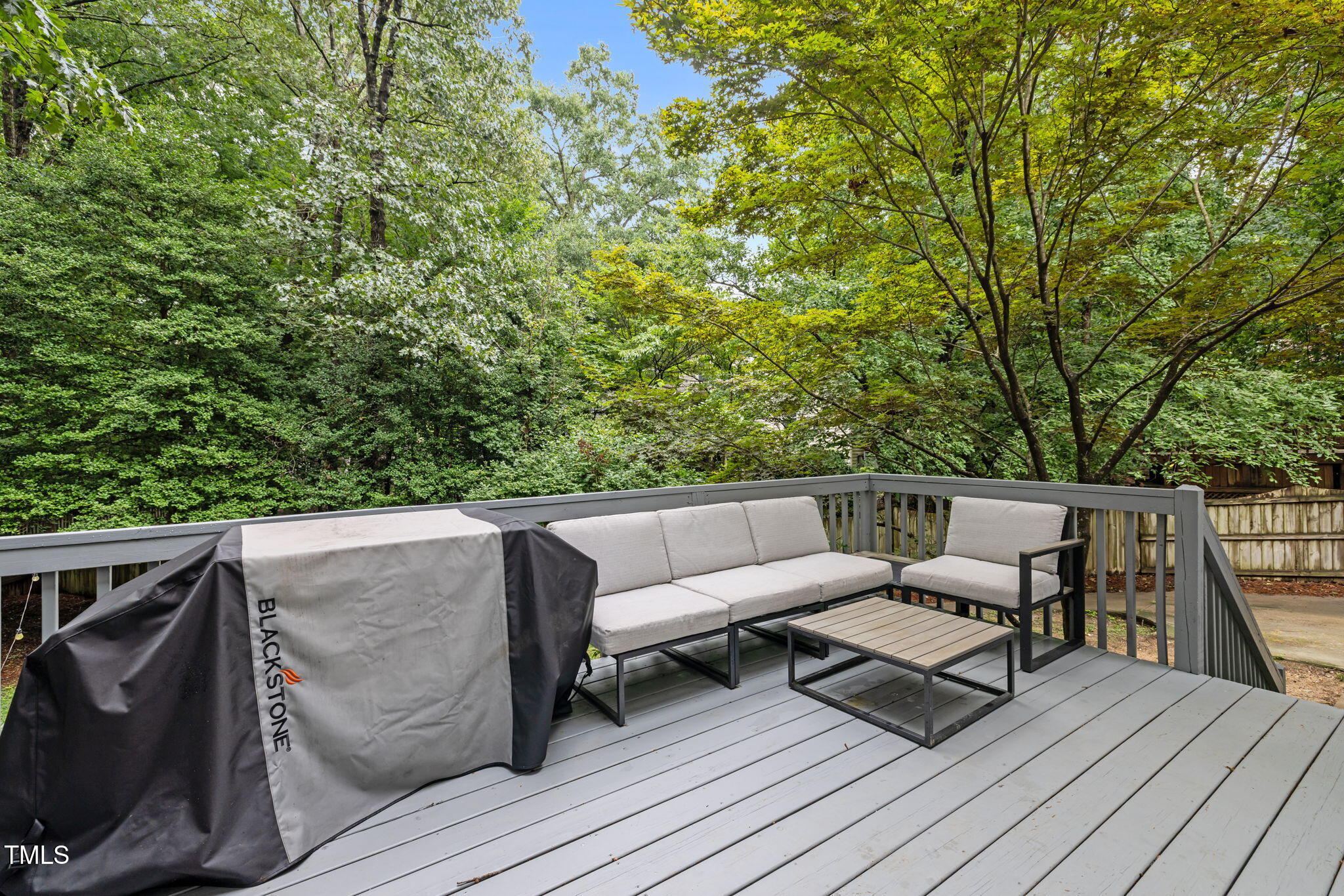 4733 Sinclair Drive Raleigh, NC 27616 - Photo 32 of 48 12-web-or-mls-5Z8A0798