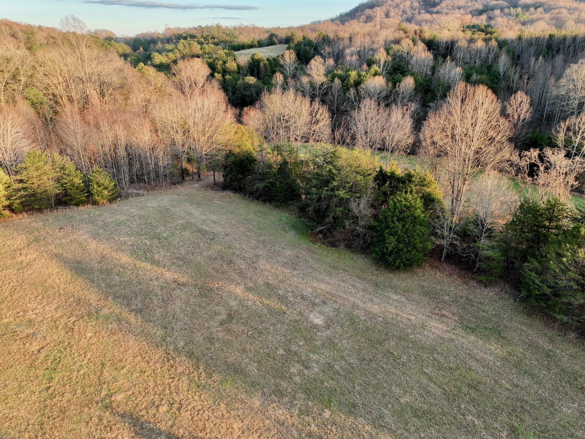 2743 Johnson School Road Thaxton, VA 24174 - Photo 11 of 88 11