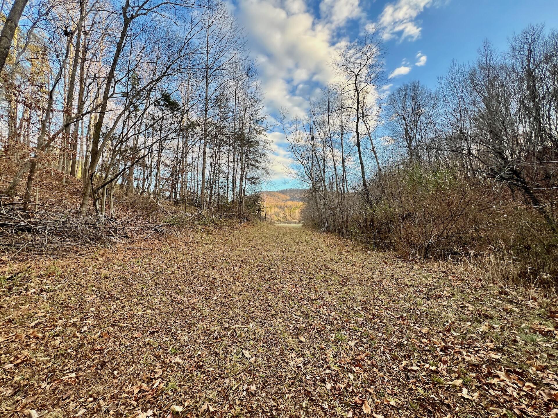 2743 Johnson School Road Thaxton, VA 24174 - Photo 13 of 88 13