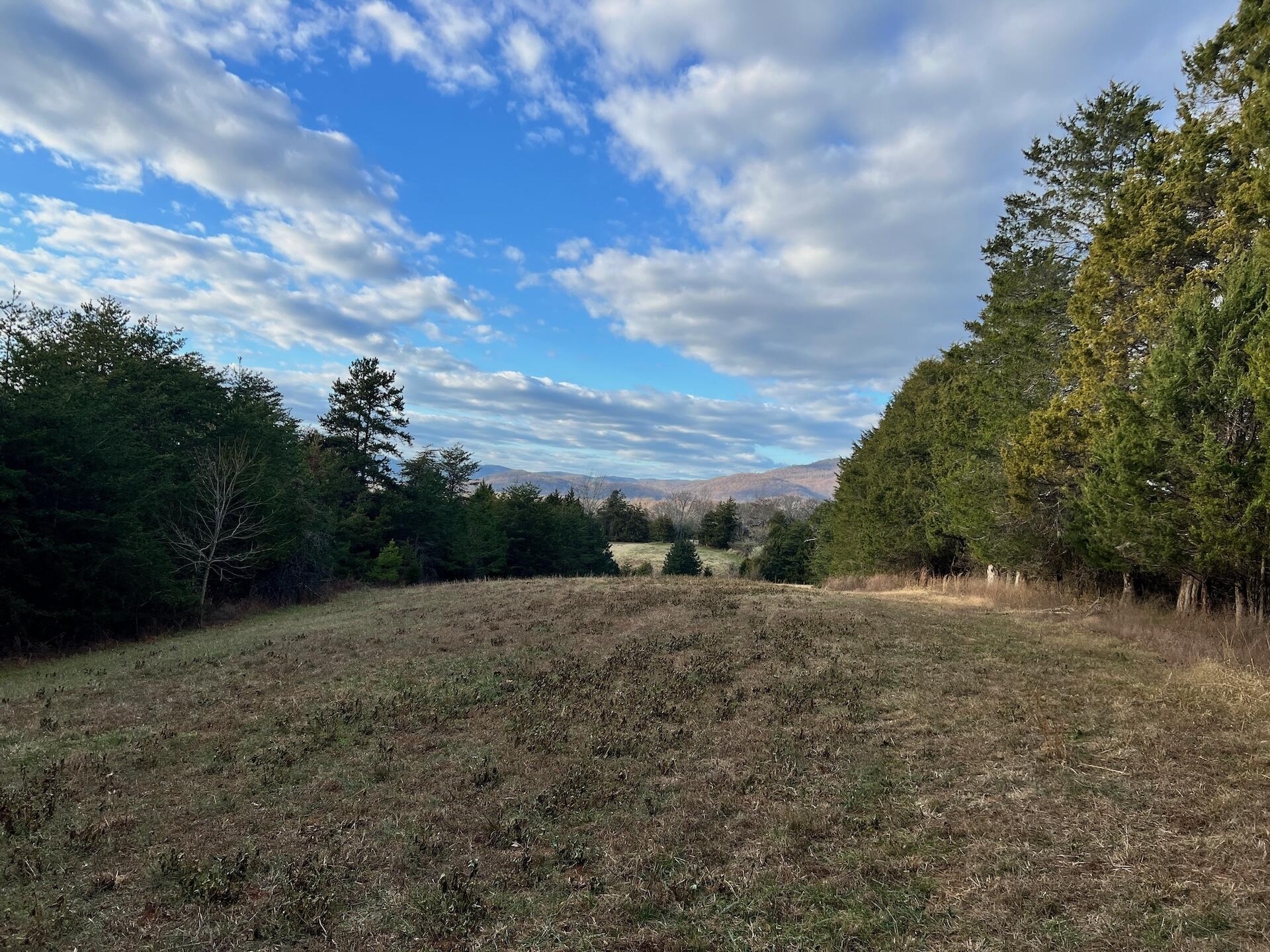 2743 Johnson School Road Thaxton, VA 24174 - Photo 15 of 88 15