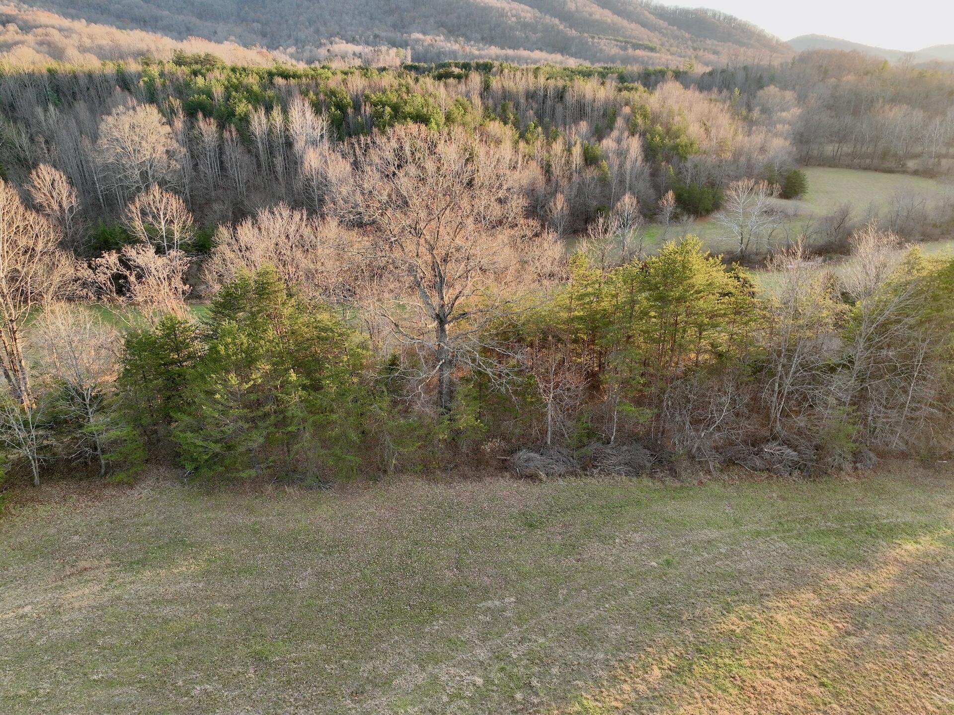 2743 Johnson School Road Thaxton, VA 24174 - Photo 17 of 88 17