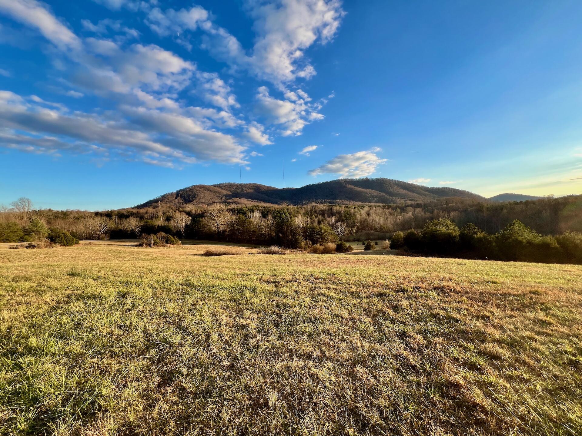 2743 Johnson School Road Thaxton, VA 24174 - Photo 18 of 88 18