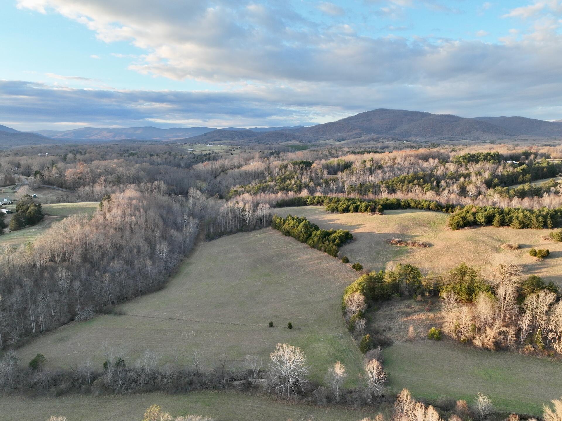 2743 Johnson School Road Thaxton, VA 24174 - Photo 2 of 88 2