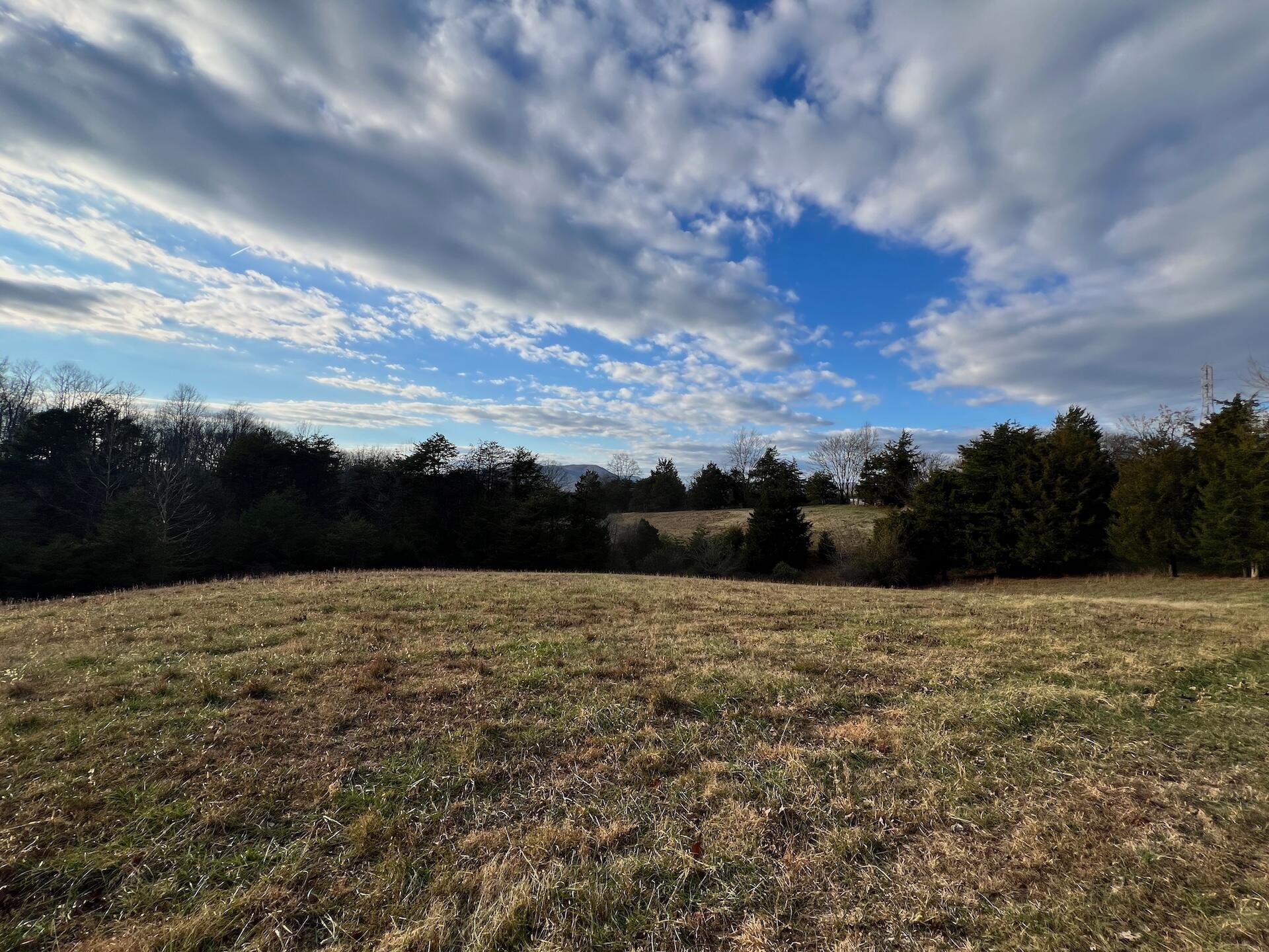 2743 Johnson School Road Thaxton, VA 24174 - Photo 26 of 88 154.56 Bedford pics - 11