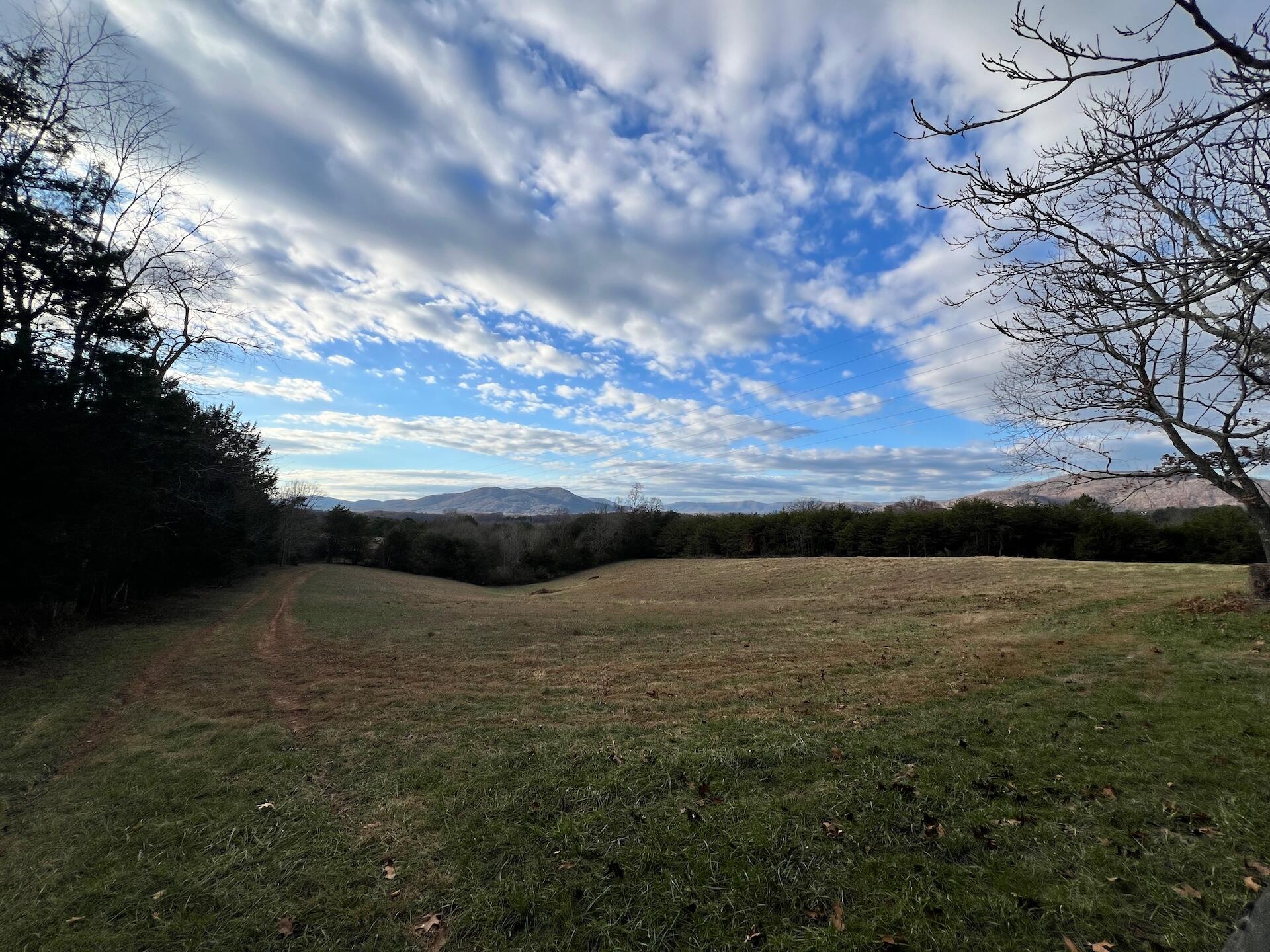 2743 Johnson School Road Thaxton, VA 24174 - Photo 28 of 88 154.56 Bedford pics - 13