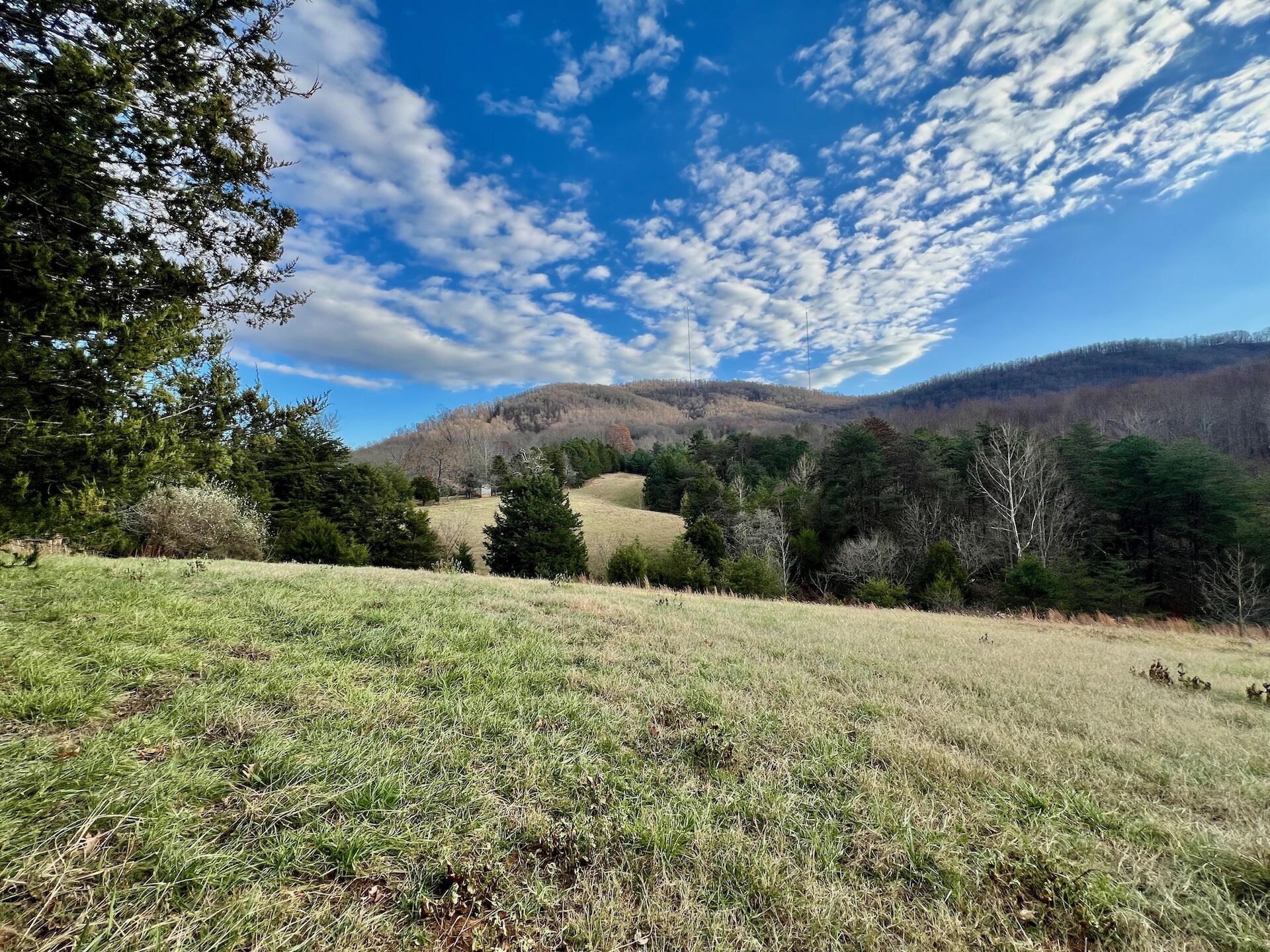 2743 Johnson School Road Thaxton, VA 24174 - Photo 29 of 88 154.56 Bedford pics - 14