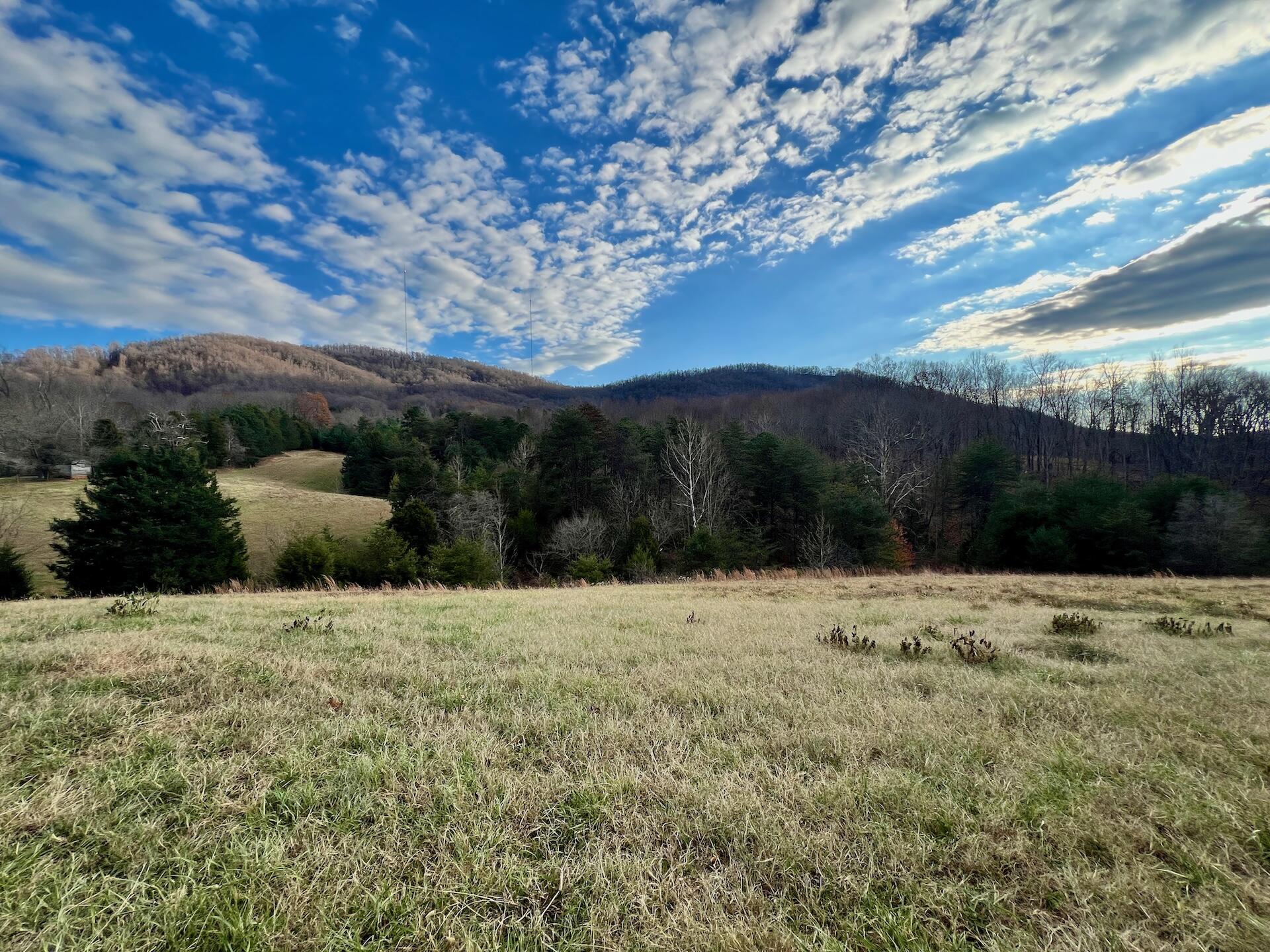 2743 Johnson School Road Thaxton, VA 24174 - Photo 30 of 88 154.56 Bedford pics - 16