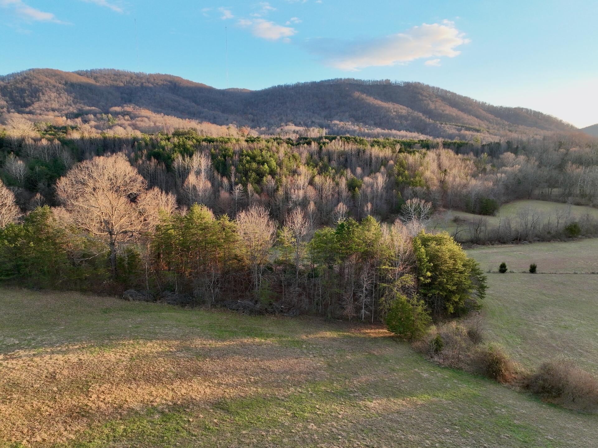 2743 Johnson School Road Thaxton, VA 24174 - Photo 3 of 88 3