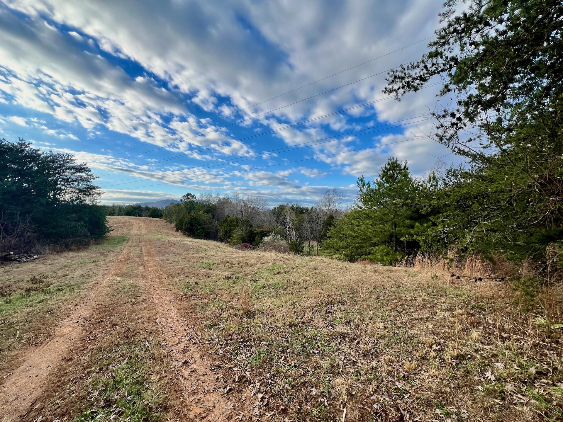 2743 Johnson School Road Thaxton, VA 24174 - Photo 31 of 88 154.56 Bedford pics - 17