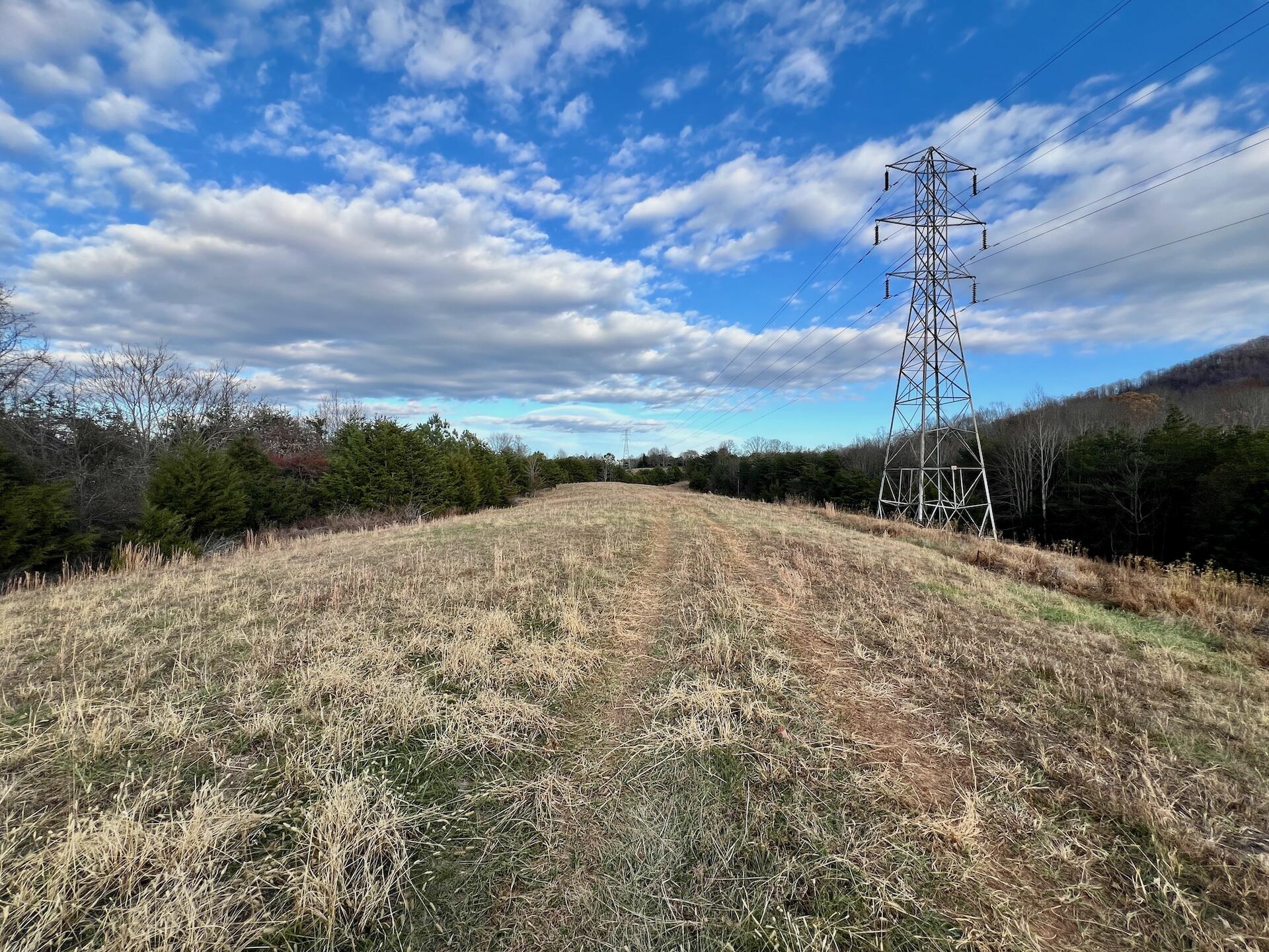 2743 Johnson School Road Thaxton, VA 24174 - Photo 32 of 88 154.56 Bedford pics - 18