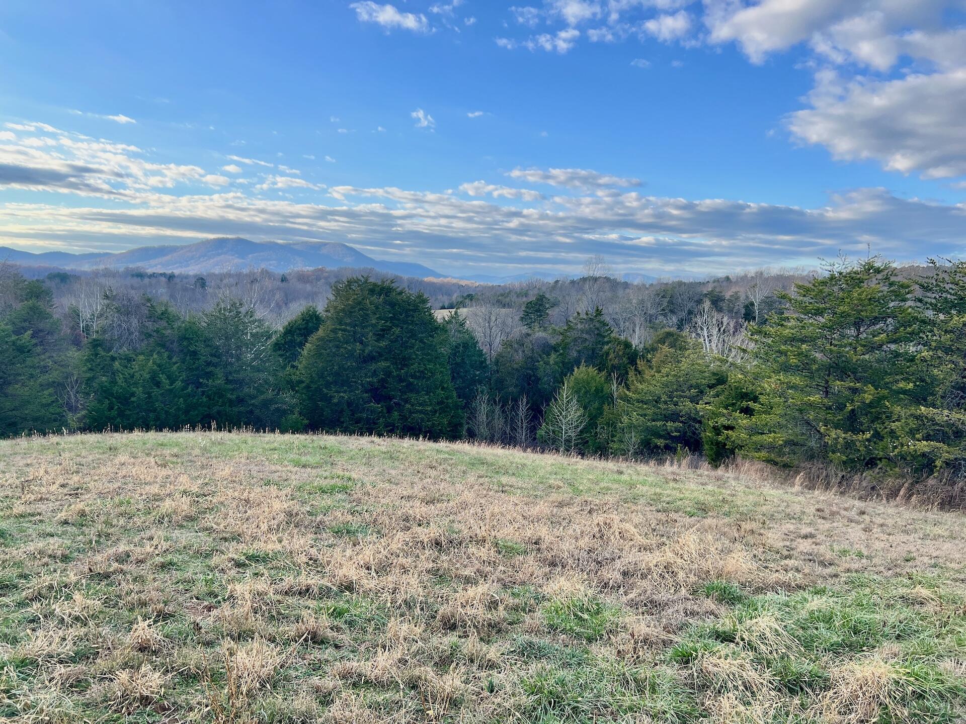 2743 Johnson School Road Thaxton, VA 24174 - Photo 35 of 88 154.56 Bedford pics - 25