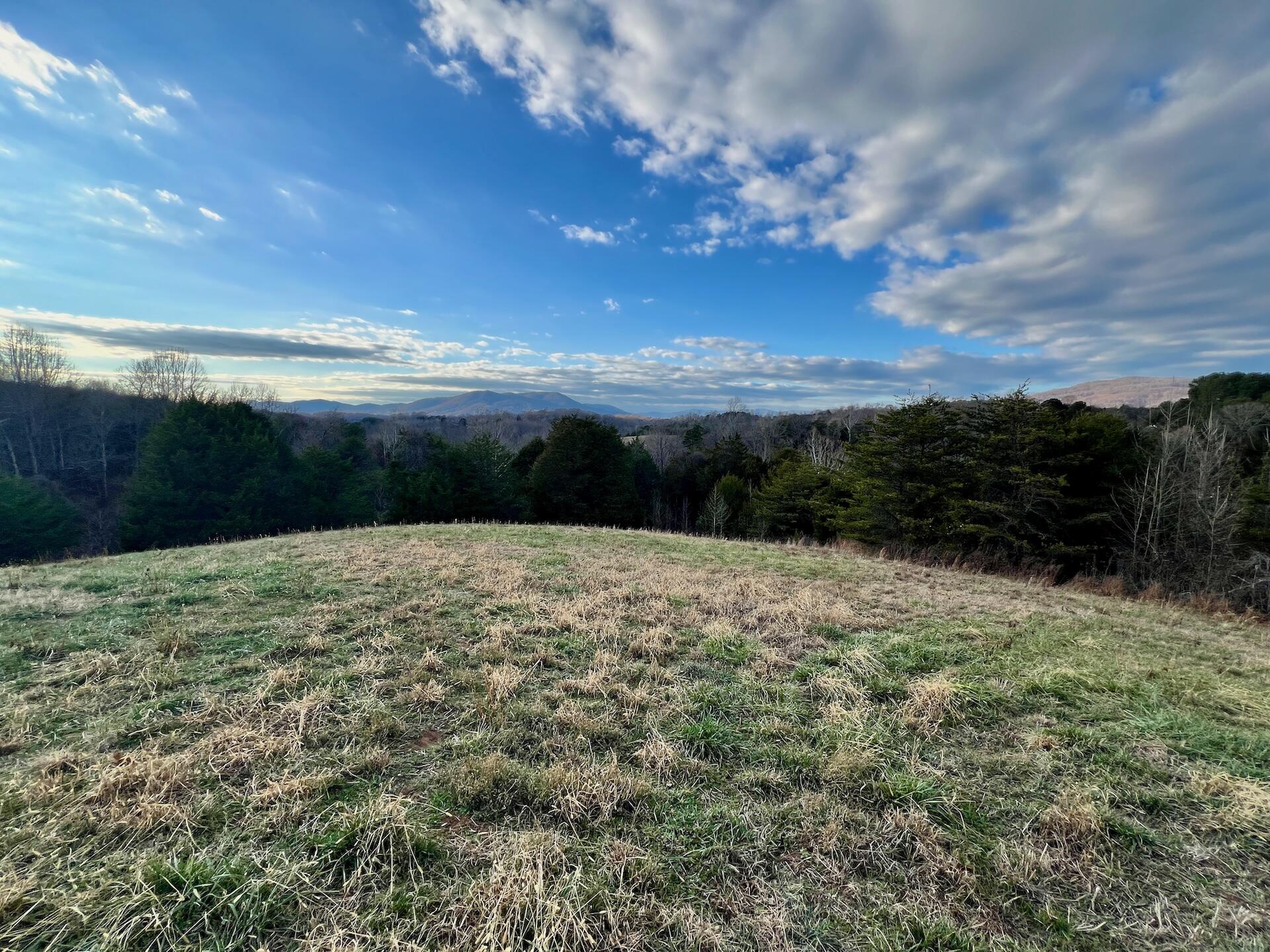 2743 Johnson School Road Thaxton, VA 24174 - Photo 36 of 88 154.56 Bedford pics - 26